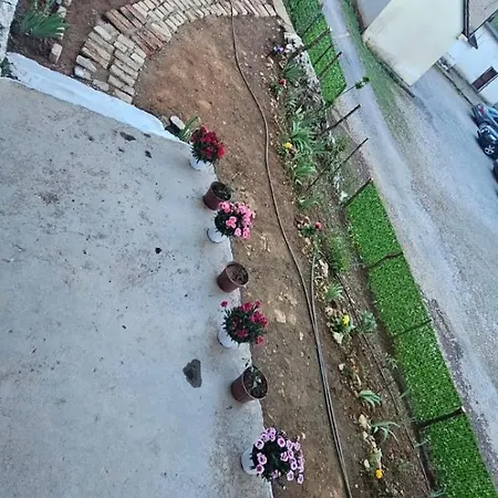 Apartment Borbardha Dhe 7 Xhuxhat / Snow White And 7 Dwarfs Fierze